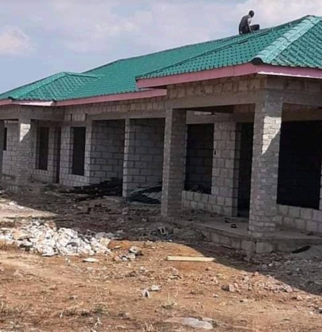 Maison avec toit vert